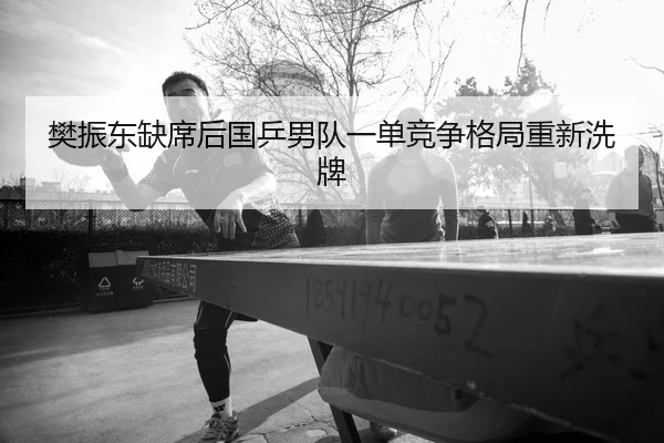 樊振东缺席后国乒男队一单竞争格局重新洗牌