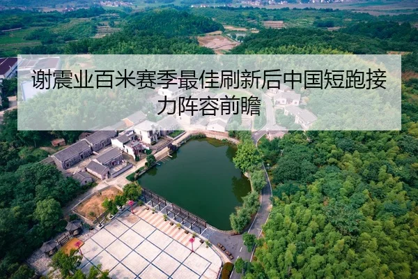 谢震业百米赛季最佳刷新后中国短跑接力阵容前瞻